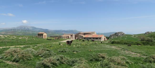 Rural vistas are the norm on the Magna Via Francigena